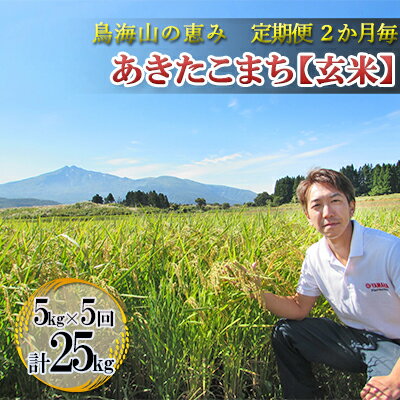 【ふるさと納税】【定期便】2ヶ月ごとに5kg×5回 鳥海山の恵み 農家直送！ あきたこまち（玄米・隔月）　【定期便・お米 あきたこまち 玄米 計25kg サブスク】