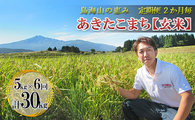 【ふるさと納税】【定期便】2ヶ月ごとに5kg×6回 鳥海山の恵み 農家直送！ あきたこまち（玄米・隔月）　【定期便・お米 あきたこまち 玄米 計30kg サブスク】