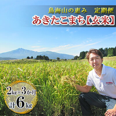 【ふるさと納税】《定期便》2kg×3ヶ月 鳥海山の恵み！秋田県産 あきたこまち ひの米（玄米）計6kg（2kg×3回連続）　【定期便・ ご飯 主食 ライス にかほ市 釜ヶ台 国産 おにぎり お弁当 3回 お届け 】