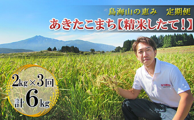 【ふるさと納税】《定期便》2kg×3ヶ月 鳥海山の恵み！秋田県産 あきたこまち ひの米（精米）計6kg（2kg×3回連続）　【定期便・ ご飯 白米 主食 ライス にかほ市 釜ヶ台 国産 おにぎり お弁当 3回 お届け 】