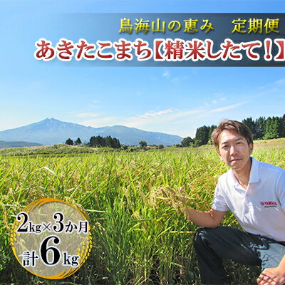 【ふるさと納税】《定期便》2kg×3ヶ月 鳥海山の恵み！秋田県産 あきたこまち ひの米（精米）計6kg（2kg×3回連続）　【定期便・ ご飯 白米 主食 ライス にかほ市 釜ヶ台 国産 おにぎり お弁当 3回 お届け 】