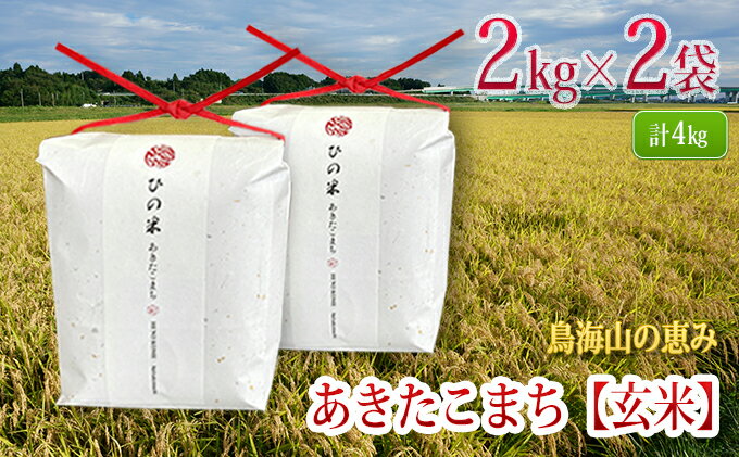 【ふるさと納税】秋田県産 あきたこまち 玄米 4kg（2kg×2袋）神宿る里の米「ひの米」（お米 小分け）　【霊峰 鳥海山 自然 高原 冷涼 濃い味 新鮮 美味しい 】