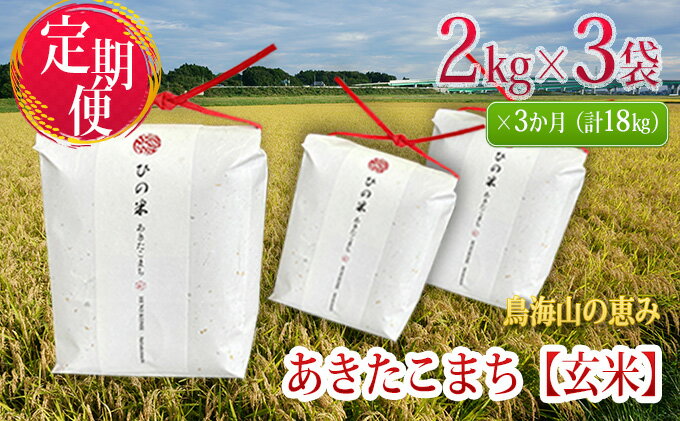 【ふるさと納税】《定期便》6kg×3ヶ月 秋田県産 あきたこまち 玄米 2kg×3袋 神宿る里の米「ひの米」（お米 小分け）　【定期便・霊峰 鳥海山 自然 高原 冷涼 濃い味 新鮮 美味しい 】