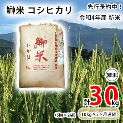 【ふるさと納税】《定期便》令和4年産 新米 11月から発送 鰰米 コシヒカリ にかほ...