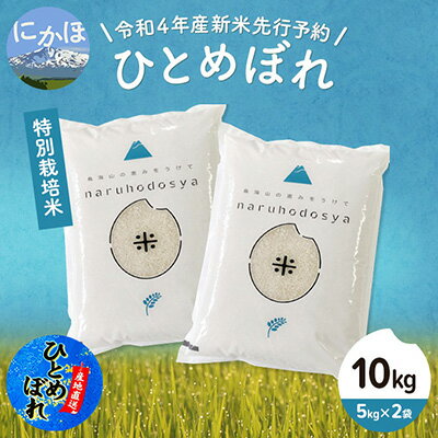 【ふるさと納税】《令和4年産新米先行予約》特別栽培米　ひとめぼれ 白米 10kg（5kg×2袋）　【 お米 米 精米 白米 ひとめぼれ 甘味 つや 粘り 令和4年産 人気 10キロ 特別栽培米 減農薬 】　お届け：2022年10月10日～10月31日のサムネイル
