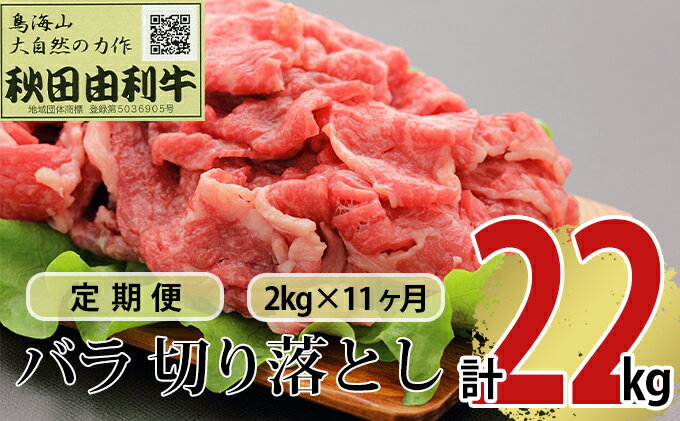 【ふるさと納税】《定期便》11ヶ月連続 秋田由利牛 バラ切り落とし 2kg（1kg×2パック）　【定期便・ お肉 肉 牛肉 バラ 炒め物 黒毛和牛 赤身 サシ 11回 産地直送 冷凍 】