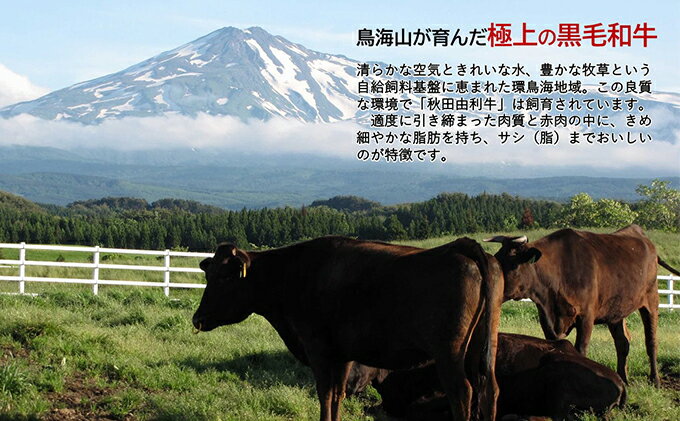 【ふるさと納税】《定期便》12ヶ月連続 秋田由利牛 バラ切り落とし 3kg（1kg×3パック）　 お肉 肉 牛肉 バラ 炒め物 黒毛和牛 赤身 サシ 12回 1年間 産地直送 冷凍