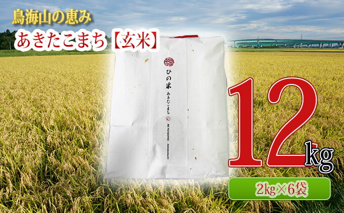 【ふるさと納税】秋田県産 あきたこまち 玄米 12kg（2kg×6袋）神宿る里の米「ひの米」（お米 小分け）　【 ご飯 主食 ライス にかほ市 釜ヶ台 国産 おにぎり お弁当 】