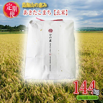 【ふるさと納税】《定期便》12kg×12ヶ月 秋田県産 あきたこまち 玄米 2kg×6袋 神宿る里の米「ひの米」...