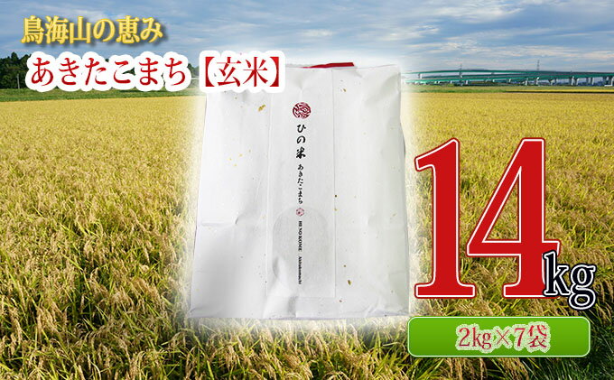 【ふるさと納税】秋田県産 あきたこまち 玄米 14kg（2kg×7袋）神宿る里の米「ひの米」（お米 小分け）　【 ご飯 主食 ライス にかほ市 釜ヶ台 国産 おにぎり お弁当 】