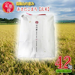 【ふるさと納税】《定期便》14kg×3ヶ月 秋田県産 あきたこまち 玄米 2kg×7袋 神宿る里の米「ひの米」（お米 小分け）　【定期便・ ご飯 主食 ライス にかほ市 釜ヶ台 国産 おにぎり お弁当 3回 お届け 】