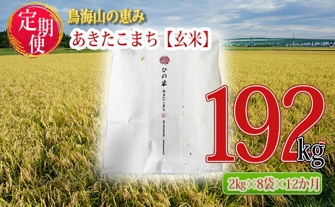 【ふるさと納税】《定期便》16kg×12ヶ月 秋田県産 あきたこまち 玄米 2kg×8袋 神宿る里の米「ひの米」（お米 小分け）　【定期便・ ご飯 主食 ライス にかほ市 釜ヶ台 国産 おにぎり お弁当 12回 1年 お届け 】