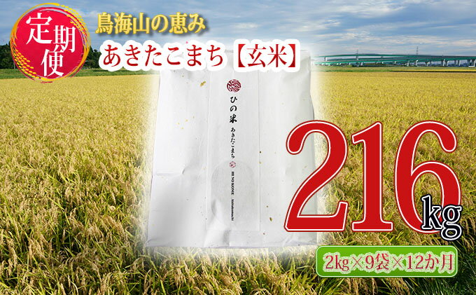 【ふるさと納税】《定期便》18kg×12ヶ月 秋田県産 あきたこまち 玄米 2kg×9袋 神宿る里の米「ひの米」（お米 小分け）　【定期便・ ご飯 主食 ライス にかほ市 釜ヶ台 国産 おにぎり お弁当 12回 1年 お届け 】