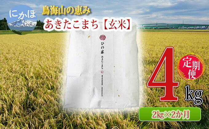 【ふるさと納税】《定期便》2kg×2ヶ月 鳥海山の恵み！秋田県産 あきたこまち ひの米（玄米）計4kg（2kg×2回連続）　【定期便・ お米 美味しい 寒暖差 神宿る里の米 自然 無病息災 悪疫退散 ご利益 祝い 】