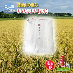 【ふるさと納税】《定期便》2kg×2ヶ月 鳥海山の恵み！秋田県産 あきたこまち ひの米（玄米）計4kg（2kg×2回連続）　【定期便・ お米 美味しい 寒暖差 神宿る里の米 自然 無病息災 悪疫退散 ご利益 祝い 】