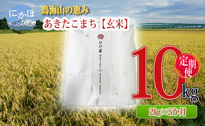 【ふるさと納税】《定期便》2kg×5ヶ月 鳥海山の恵み！秋田県産 あきたこまち ひの米（玄米）計10kg（2kg×5回連続）　【定期便・ お米 美味しい 寒暖差 神宿る里の米 自然 無病息災 悪疫退散 ご利益 祝い 】