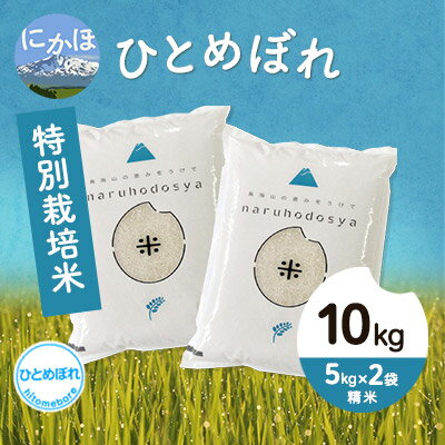 【ふるさと納税】令和4年産 秋田県産 特別栽培米 ひとめぼれ10kg（5kg×2袋 ...