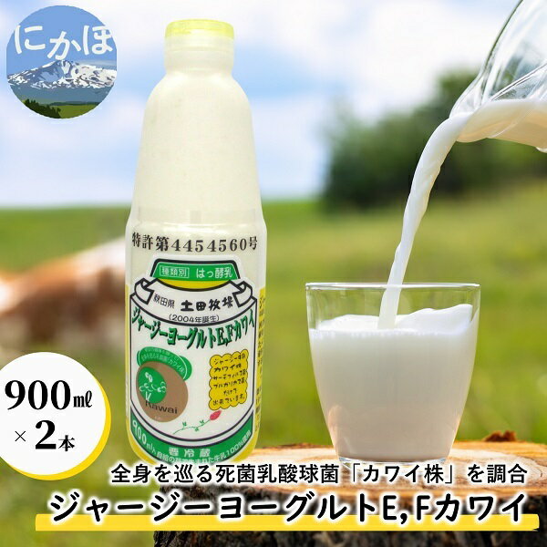 ジャージー ヨーグルト(E・Fカワイ)900ml×2本(飲む ヨーグルト) [ 乳飲料 8000円 乳酸菌 ドリンク ジャージー牛乳 乳製品 ]