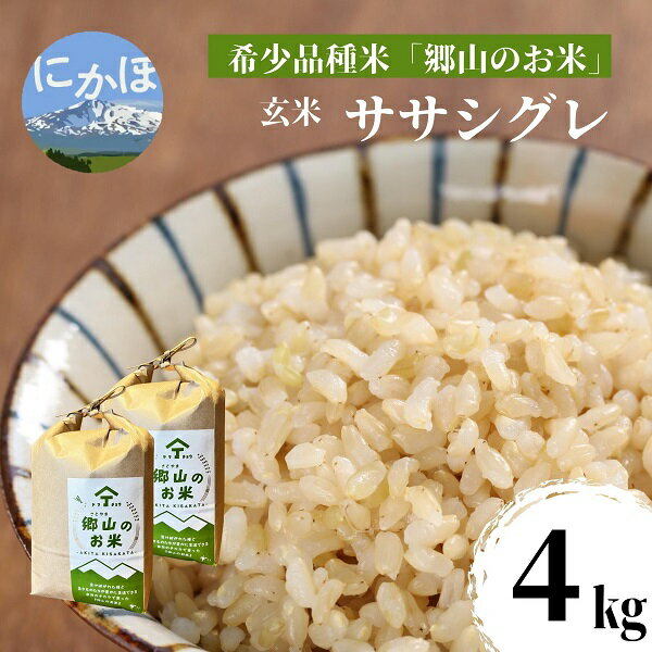 【希少品種米】ササニシキの親　農薬不使用のササシグレ「郷山のお米」4kg（2kg×2袋）（玄米）　【お米】