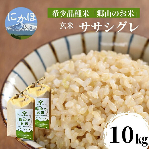 【希少品種米】ササニシキの親　農薬不使用のササシグレ「郷山のお米」10kg（5kg×2袋）（玄米）　【お米】