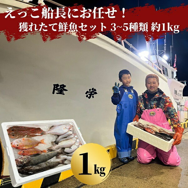 えっこ船長にお任せ!獲れたて鮮魚セット 3〜5種類 約1kg(鮮魚 詰合せ ボックス) [ 魚介類 鮮魚セット ]