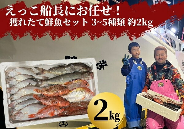 えっこ船長にお任せ!獲れたて鮮魚セット 3〜5種類 約2kg(鮮魚 詰合せ ボックス) [ 鮮魚セット 鮮魚 ]