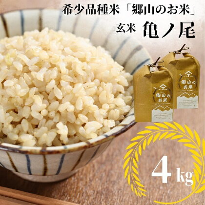 【希少品種米】自家採取　農薬不使用の亀ノ尾「郷山のお米」4kg（玄米）　【 お米 農薬不使用 玄米 】