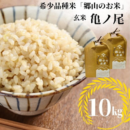 【希少品種米】自家採取　農薬不使用の亀ノ尾「郷山のお米」10kg（玄米）　【 お米 農薬不使用 玄米 】
