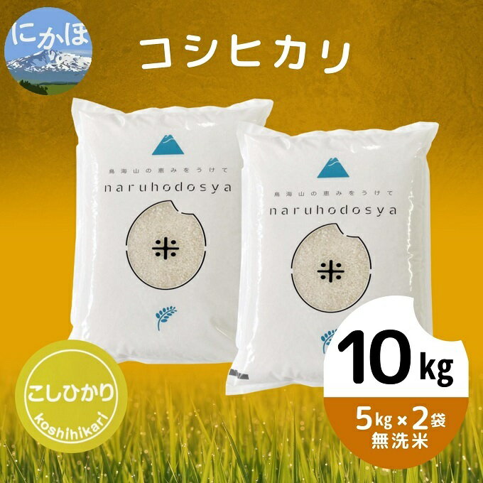 【ふるさと納税】令和4年産《無洗米》コシヒカリ 10kg（5kg×2袋）　【 お米 ...