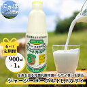 【ふるさと納税】毎月お届け！ジャージー ヨーグルト(E・Fカワイ)900ml×1本 6ヶ月定期便(飲む ヨーグルト)　【定期便・ 乳飲料 ドリンク 死菌 乳酸菌 生乳 製造特許 安全 効果のある 予防医学食品 健康維持 】