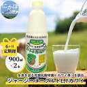 【ふるさと納税】毎月お届け！ジャージー ヨーグルト(E・Fカワイ)900ml×2本 6ヶ月定期便(飲む ヨーグルト)　【定期便・ 乳飲料 ドリンク 死菌 乳酸菌 生乳 製造特許 安全 効果のある 予防医学食品 健康維持 】