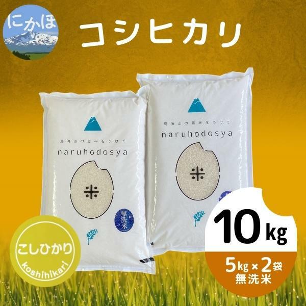 [令和5年産][無洗米]コシヒカリ5kg×2 [ 米 精米 白米 ご飯 節水 環境 つや 粘り 甘味 冷めても 美味しい おにぎり お弁当 ] お届け:11月下旬〜発送