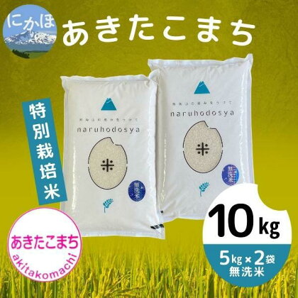 【令和5年産】【無洗米】特別栽培米あきたこまち5kg×2　【 米 精米 白米 ご飯 節水 環境 つや 粘り 甘味 美味しい 人気 安心 安全 】　お届け：11月中旬～発送