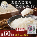 【ふるさと納税】《クマといい距離プロジェクト》〈定期便6カ月〉こまち5kg・ひとめ5kg(10kg) ×6回 計60kg(約396合)精米 白米 ※毎年11月より新米(動物 愛護)　【定期便・ お米 お弁当 国産 】　お届け：ご入金の翌月中旬ごろから配送を開始します