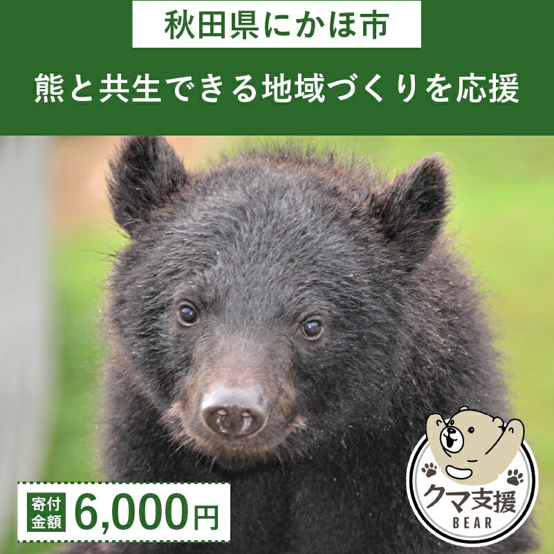 【ふるさと納税】《クマといい距離プロジェクト》寄附のみ6,000円　【 お礼の品なし 返礼品なし 支援 自治体支援 熊被害 熊支援 熊を守..