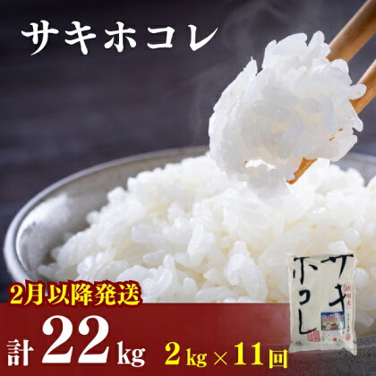 2月以降発送予定〈定期便11カ月〉令和5年産 サキホコレ2kg(約13合分)×11回 計22kg(約143合)精米 白米 ※毎年11月より新米　【定期便・ お米 サキホコレ 米 】　お届け：ご入金の翌月中旬ごろから配送を開始します