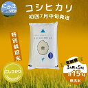 3位! 口コミ数「0件」評価「0」初回7月中旬発送 【令和5年産】＜3ヶ月定期便＞【無洗米】特別栽培米コシヒカリ5kg×3回 計 15kg　【定期便・ お米 コシヒカリ 】　･･･ 