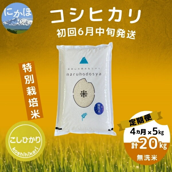 【ふるさと納税】初回6月中旬発送 【令和5年産】＜4ヶ月定期便＞【無洗米】特別栽培米コシヒカリ5kg×4回 計 20kg　【定期便・ お米 コシヒカリ 】　お届け：1回目：令和6年6月中旬 2回目以降：毎月中旬発送 ※お届け日の指定はできません。