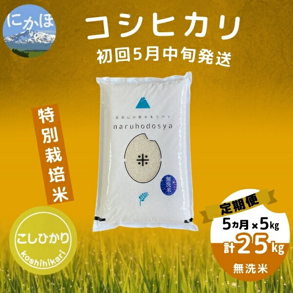 【ふるさと納税】初回5月中旬発送 【令和5年産】＜5ヶ月定期便＞【無洗米】特別栽培米コシヒカリ5kg×5回 計 25kg　【定期便・ お米 コシヒカリ 】　お届け：1回目：令和6年6月中旬 2回目以降：毎月中旬発送 ※お届け日の指定はできません。