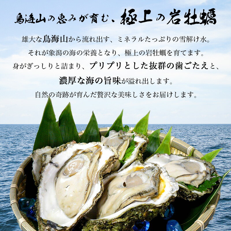 【ふるさと納税】《ナイフ付》 生食用 殻付き 象潟産 天然 岩牡蠣 10個 約3kg 300～400g/個 直径10cm 岩ガキ 冷蔵 濃厚 新鮮 殻剥きナイフ付 贈り物 ギフト お取り寄せ 日本海 産地直送 秋田県 にかほ市 マルイチ水産　お届け：2026年7月上旬～2026年8月中旬