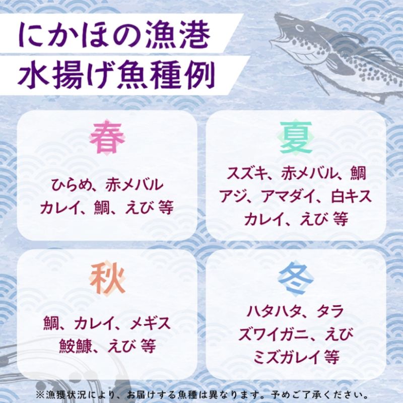【ふるさと納税】鮮魚 冷蔵 クール便「 開けたらすぐ食べられる下処理済み 海産物 1人前 セット 」さとう鮮魚店【 パック 詰め合わせ 海鮮セット 鮮魚ボックス 海鮮 海の幸 魚介 魚介類 刺身 切り身 秋田県 にかほ 】 f052141-nikaho-10003023 秋田県にかほ市 サンプル画像2