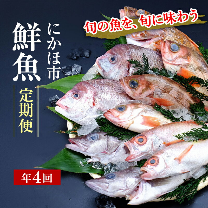 【ふるさと納税】開けたらすぐ食べられる日本海の鮮魚定期便（2