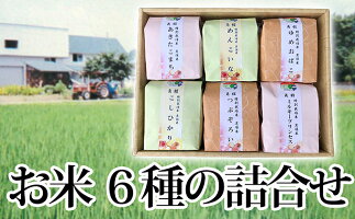 【ふるさと納税】【白米食べ比べ】 仙北市産 6種のお米詰合せ 【お米】 お届け:2018年11月上旬頃から順次発送予定。