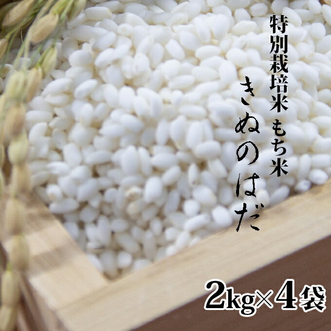 【ふるさと納税】仙北市産 もち米 2kg×4袋(合計：8kg)　【餅・もち】
