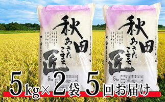 【ふるさと納税】【農家直送 7年連続「特A」ランク 秋田県 仙北市産米】令和元年産 あきたこまち 5kg×2袋 5ヶ月連続発送(合計:50kg) 【定期便・お米・定期便】 お届け:2019年10月上旬頃から順次発送予定。