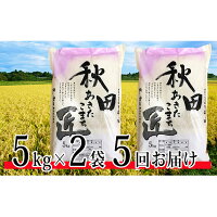 【ふるさと納税】【農家直送 7年連続「特A」ランク 秋田県 仙北市産米】令和元年産 あきたこまち 5kg×2袋 5ヶ月連続発送(合計:50kg) 【定期便・お米・定期便】 お届け:2019年10月上旬頃から順次発送予定。