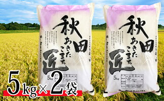 【ふるさと納税】【農家直送7年連続「特A」ランク秋田県仙北市産米】令和元年産あきたこまち5kg×2袋(合計:10kg)12月から発送開始【お米・あきたこまち】お届け:2019年12月上旬頃から順次発送予定。