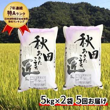 【ふるさと納税】【早期受付 令和2年産】農家直送 7年連続「特A」ランク 秋田県 仙北市産米 あきたこまち 5kg×2袋 5ヶ月連続発送（合計：50kg）2020年10月中旬頃から発送開始　【定期便・お米・あきたこまち】　お届け：2020年10月中旬頃から順次発送予定。