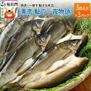 【ふるさと納税】清流 鮎の一夜物語 3匹入り×3パック