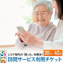 【ふるさと納税】シニア世代の「困った」を解決!訪問サービス利用チケット 30分×40回分【ゴミ捨て、買い物代行、調理、スマホ指導、お話し相手、お掃除などにご利用可能】